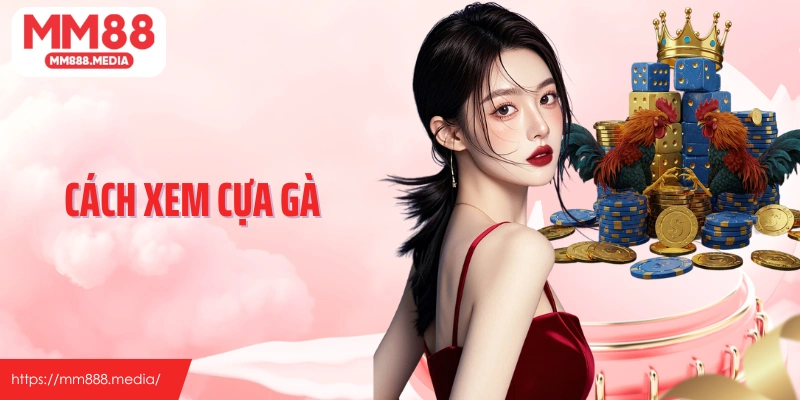 Cách xem cựa gà